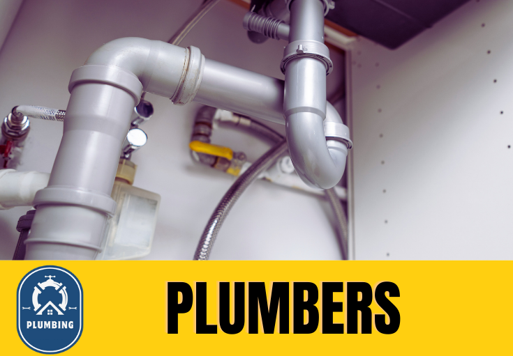  plumber Milton